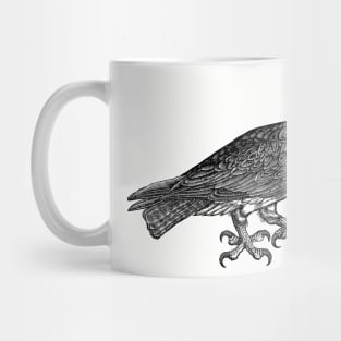 Vintage Eagle Retro hawk raptor illustration design Mug